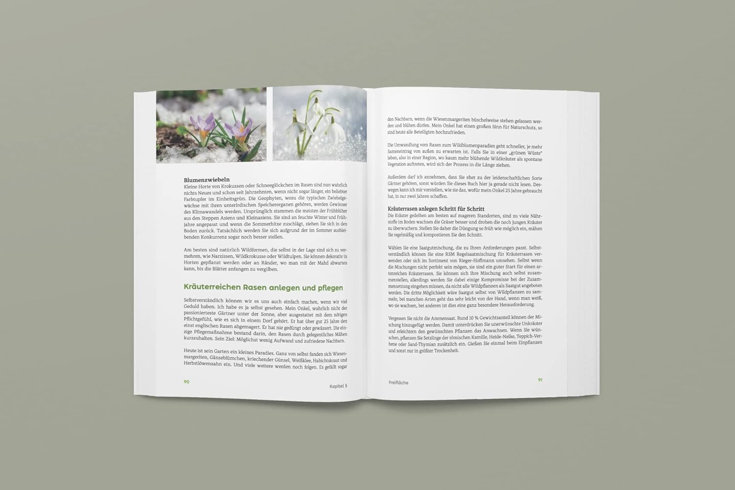 Mein Gartenjahr (fast) ohne Gießen - Ganzjährig pflegeleicht und klimafest: Dein Weg zu einem wassersparenden Zier- und Nutzgarten der Trockenheit, Wind und Starkregen trotzt     Paperback – 19 Feb. 2023